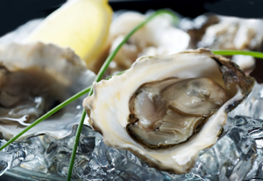 Oyster on the half shell